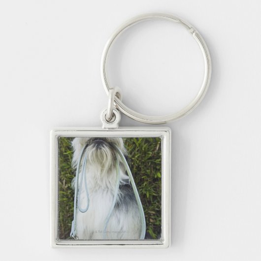 Porte-clés Chien avec la laisse dans la bouche (Devant)