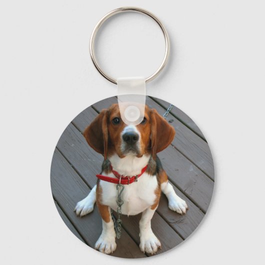 Porte-clés Chien Beagle Cutest Jamais (Recto)