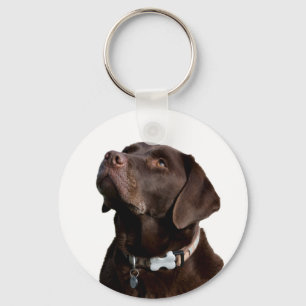 Porte-clés Chien Bébé Labrador Retriever Noir Brun