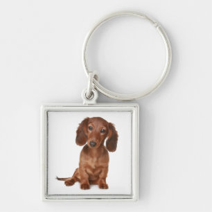 Porte-clés Chien Bébé Teckel
