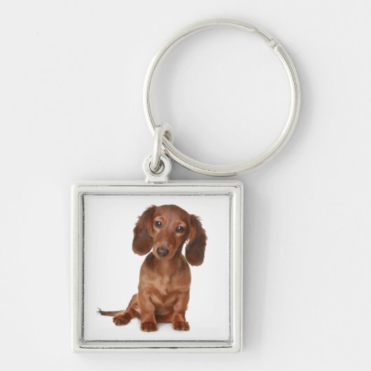 Porte-clés Chien Bébé Teckel (Devant)