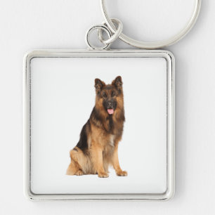 Porte-clés chien berger allemand, envelopper droit design,
