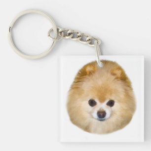 Porte-clés Chien Brown et blanc de Pomeranian