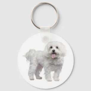 Porte-clés Chien Chien Chien Chien Blanc Maltais Personnalisé