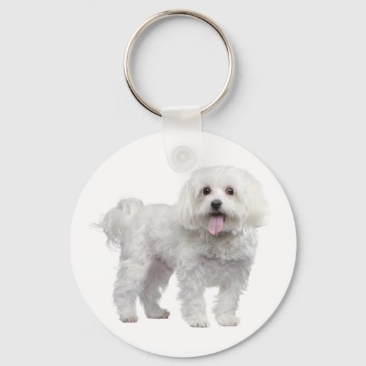 Porte-clés Chien Chien Chien Chien Blanc Maltais Personnalisé (Recto)