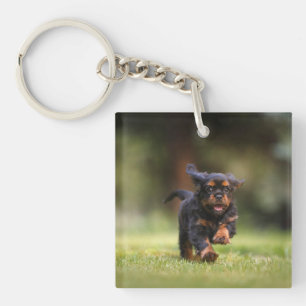 Porte-clés Chien, Chien, Chiot, Cavalier