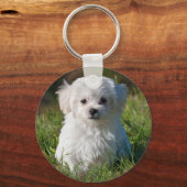 Porte-clés Chien chiot maltais blanc mou (Recto)