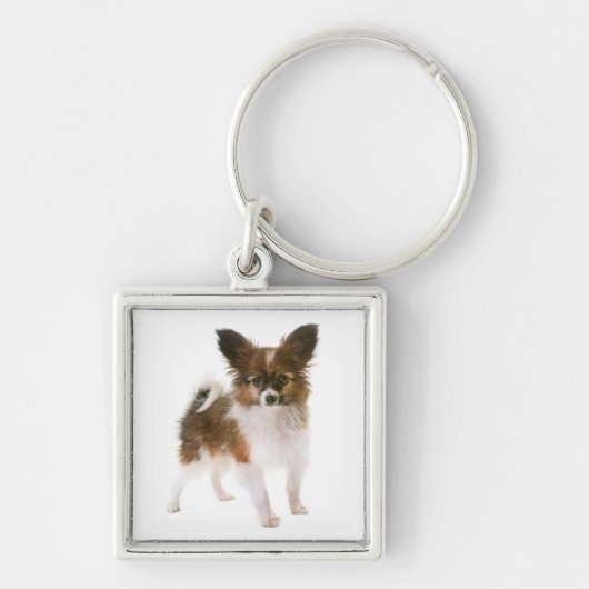 Porte-clés chien chiot Papillon (Devant)