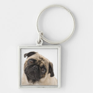 Porte-clés Chien Chiots Pug Amour