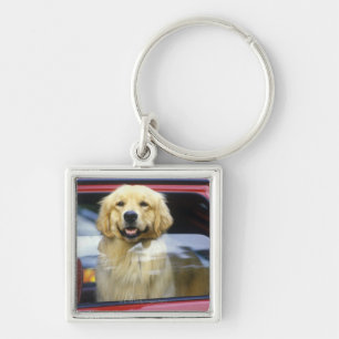 Porte-clés Chien dans la fenêtre de voiture rouge