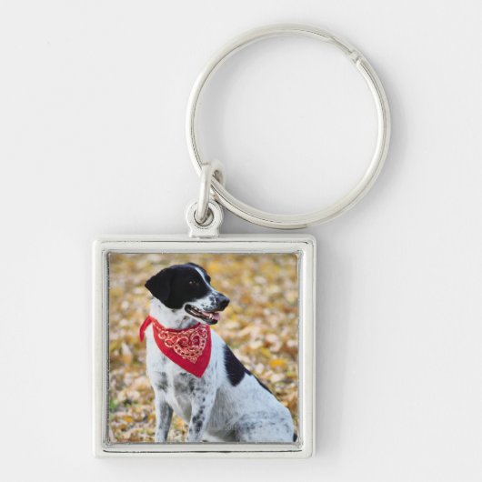 Porte-clés Chien d'automne (Devant)