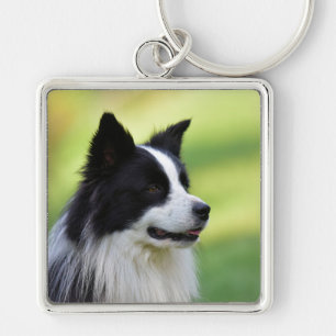 Porte-clés Chien de berger border collie noir et blanc