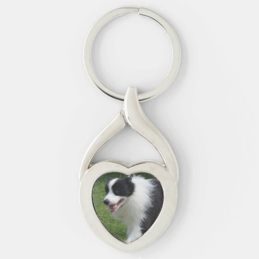 Porte-clés Chien de border collie (Devant)