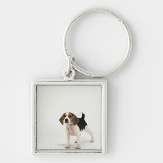 Porte-clés Chien de chasse (Devant)