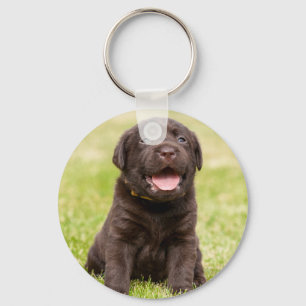 Porte-clés Chien de chiot mignon