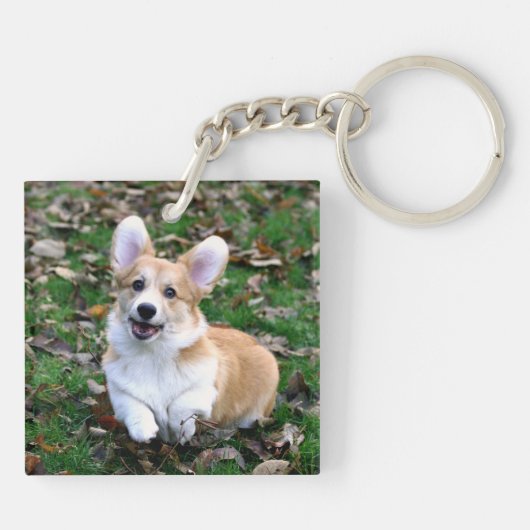 Porte-clés Chien de Corgi mignon qui bondit (Dos)