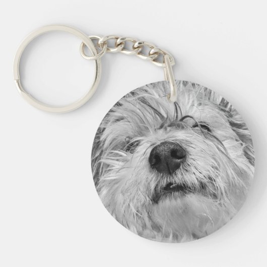 Porte-clés Chien de Coton de Tulear (Devant)