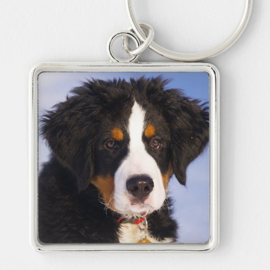 Porte-clés Chien de montagne bernois (Devant)