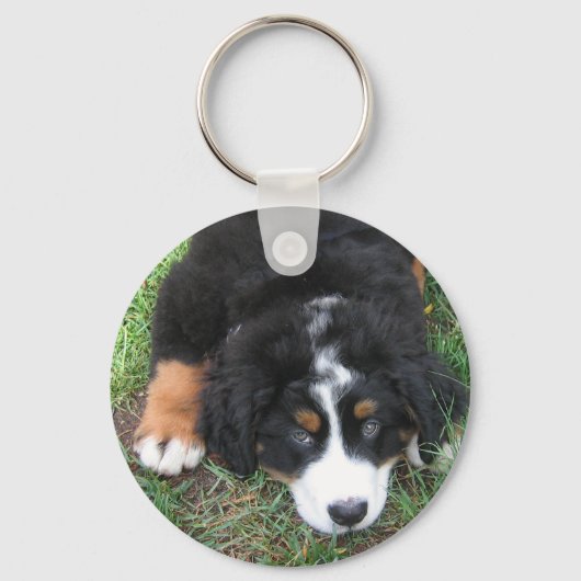 Porte-clés Chien de montagne bernois (Recto)
