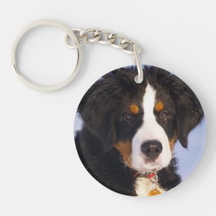 Porte-clés Chien de Montagne bernois - jolie photo de chiot