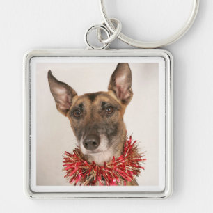 Porte-clés Chien de Noël 1