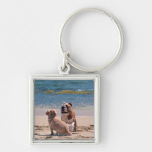 Porte-clés Chien de plage sablonneuse