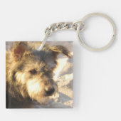 Porte-clés Chien de plage thaïlandais (Dos)