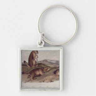 Porte-clés Chien de prairie des 'quadrupèdes de North Americ