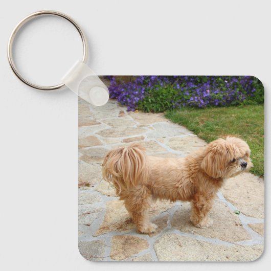 Porte-clés Chien de Red Lhasa Apso (Recto)