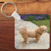 Porte-clés Chien de Red Lhasa Apso (Recto)