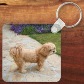 Porte-clés Chien de Red Lhasa Apso (Verso)
