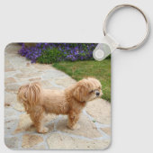 Porte-clés Chien de Red Lhasa Apso (Dos)