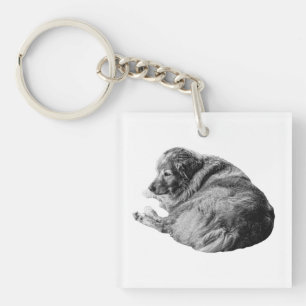 Porte-clés Chien de repos ombragé inspire des voyages d'hiver