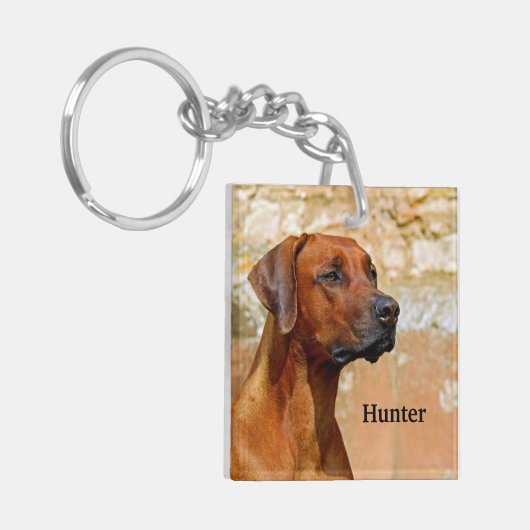 Porte-clés Chien de Rhodesian Ridgeback (Devant gauche)