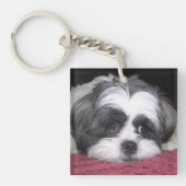 Porte-clés Chien de Shih Tzu (Devant)