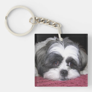 Porte-clés Chien de Shih Tzu
