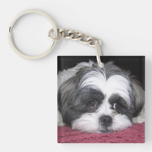 Porte-clés Chien de Shih Tzu (Devant)