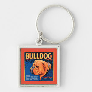 Porte-clés Chien de Taureau sur un arrière - plan bleu