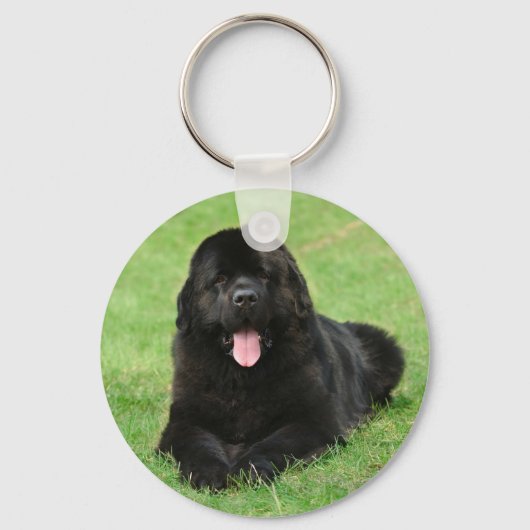 Porte-clés Chien de Terre (Recto)