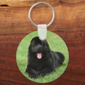 Porte-clés Chien de Terre (Recto)