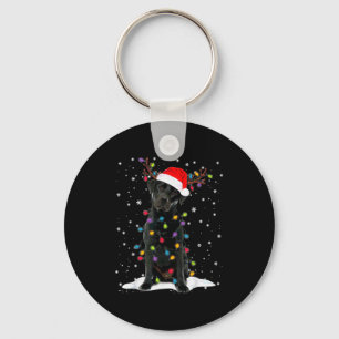Porte-clés Chien en pyjama à lumières de sapin de Noël Labrad