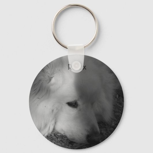 Porte-clés Chien endormi (Recto)