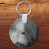 Porte-clés Chien endormi (Recto)