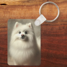 Chien esquimau américain