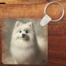 Chien esquimau américain