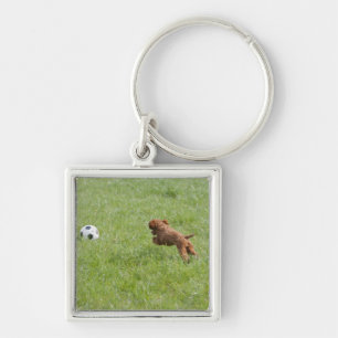 Porte-clés Chien fonctionnant après le football en parc