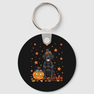 Porte-clés Chien Labrador Noir Et Bonbon Citrouille Drôle