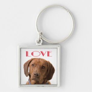 Porte-clés chien Labrador Retriever au chocolat