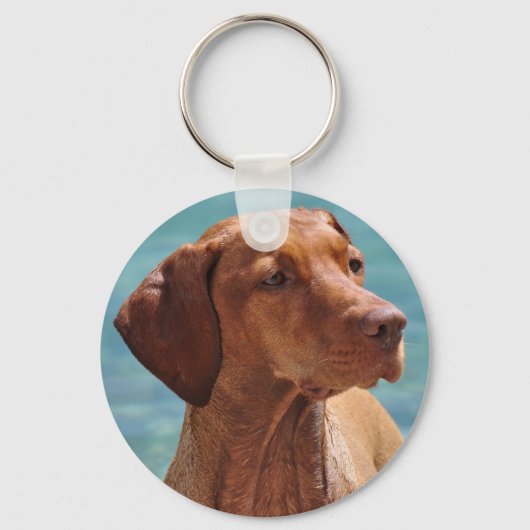 Porte-clés Chien Magyar Vizsla (Recto)