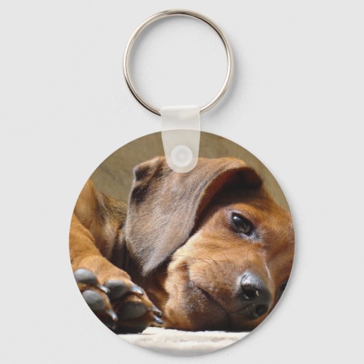 Porte-clés Chien mignon (Recto)